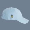 Valuecap Adult Bio-Washed Classic Dad Hat Thumbnail